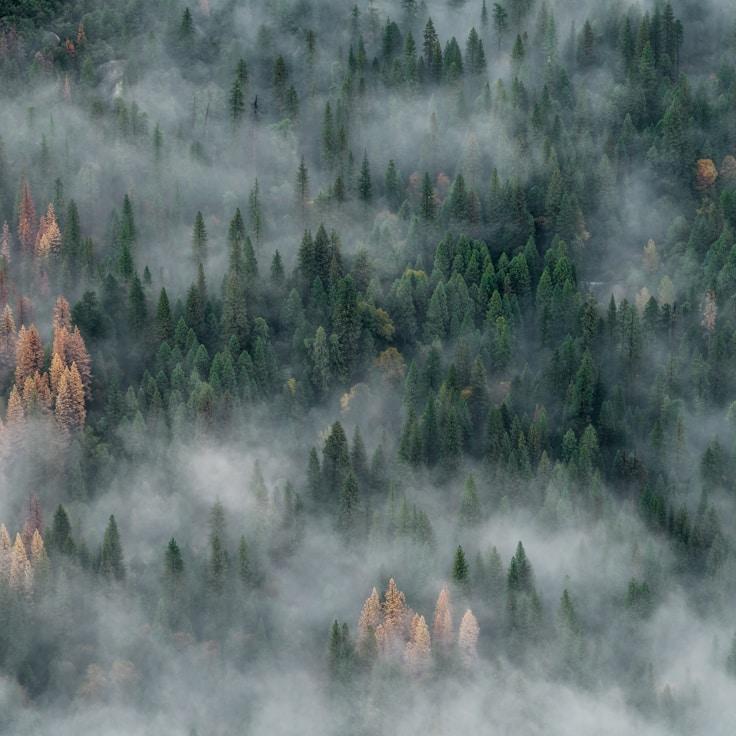 High mountain wilderness scene